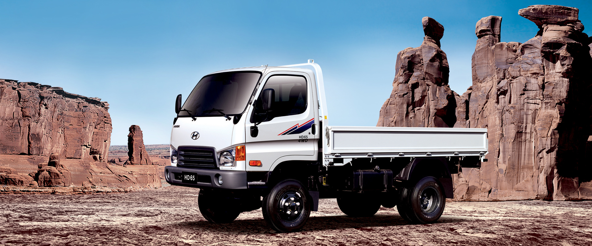 Cargo Hyundai Commercial Vehicle