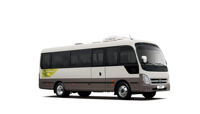 Hyundai Minibus